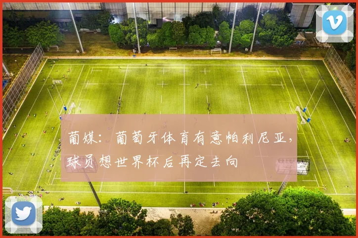 葡媒：葡萄牙体育有意帕利尼亚，球员想世界杯后再定去向