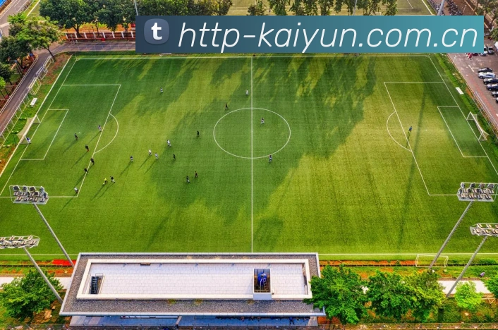 KaiyunAPP 封面图
